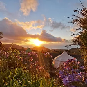 Free Canari - Los Alamos 8 Glamping Tegueste